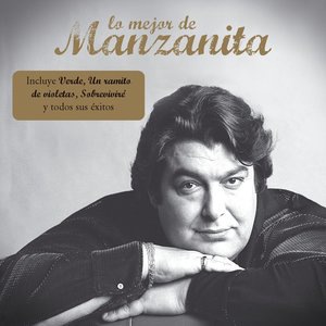 Ramito de violetas
