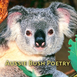 I Still Call Australia Home