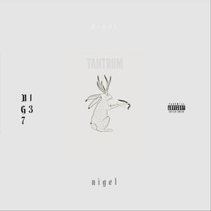 N1G37