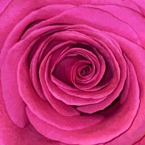 Nahuel Huapi