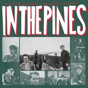 In The Pines