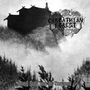 Journey Through the Cold Moors of Svarttjern