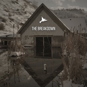 The Breakdown