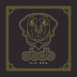 Old Dog