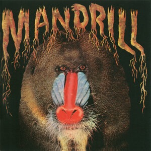 Peace And Love (Amani Na Mapenzi) - Movement II (Now)