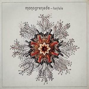 L'araignée
