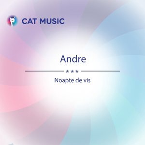 Noapte De Vis