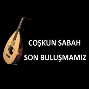 Rüzgar Kırdı Dalımı
