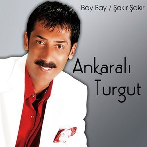 Kozan Dağı