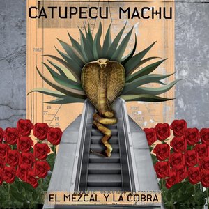 Metrópolis Nueva