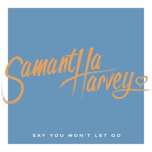 Say You Won't Let Go