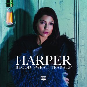 Blood Sweat Tears