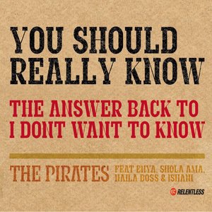 You Should Really Know (Feat. Enya, Shola Ama, Naila Boss and Ishani)