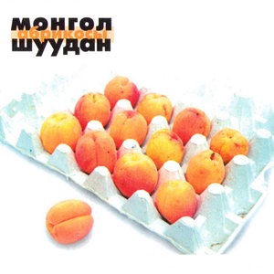 Песня про пиво