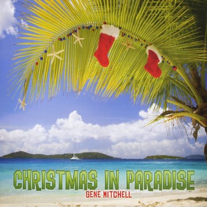 Coconut Palm For A Christmas Tree