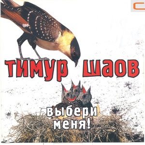 Выбери меня!