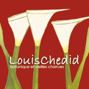 La belle