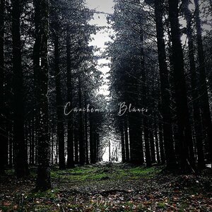 Cauchemars blancs