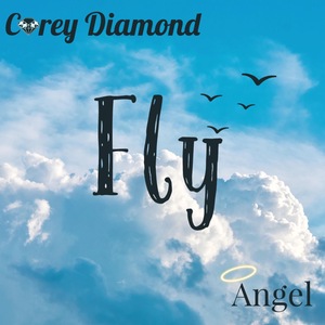 Fly