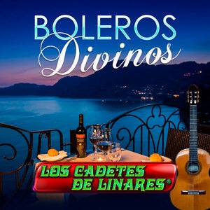 Añorando Tus Besos