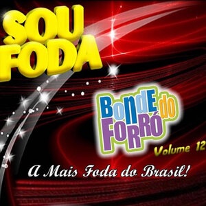 Pássaro de Fogo