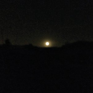 Terra Nihil