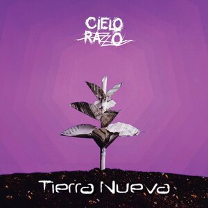 Obtuso