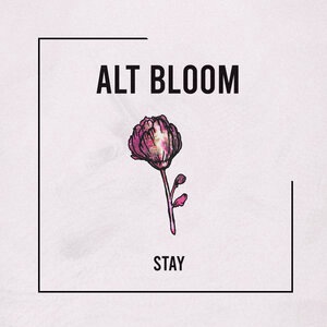 Stay