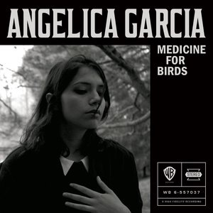 Magnolia Is Medicine