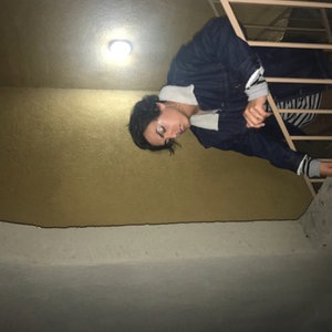 ROACH