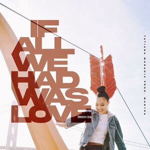 IF ALL WE HAD WAS LOVE