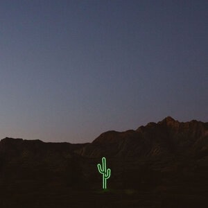 Open Skies (Wildflower)