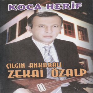 Kara Tavuk