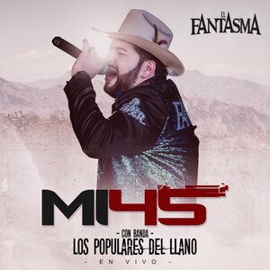 Mi 45