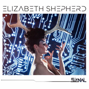 The Signal