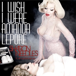 I Wish I Were Amanda Lepore