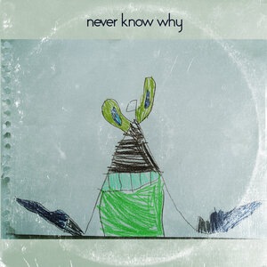 Never Know Why