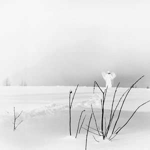 In Frostigen Tälern