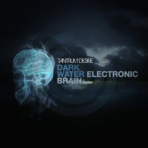 Electronic Brain