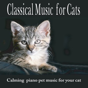 Piano Concerto in C Major, No. 21, K467: II. Andante