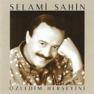 Ah Seni Seni