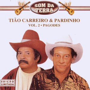 Pagode em Bras!lia
