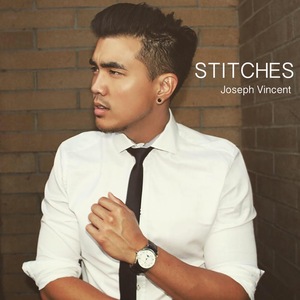 Stitches