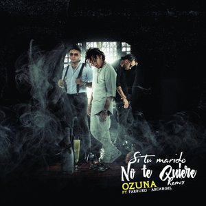 Si No Te Quiere Remix
