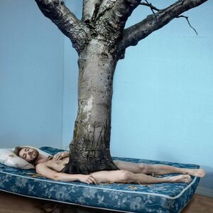 Ashtree