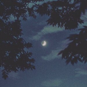 Moonlight