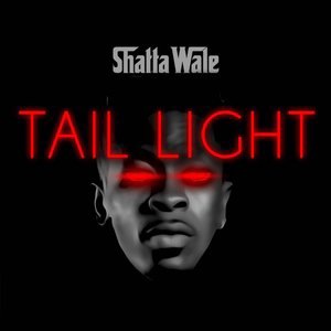 Tail Light