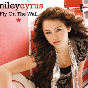 Fly on the Wall