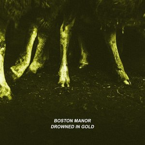 Drowned in Gold