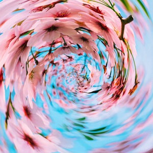 Confetti